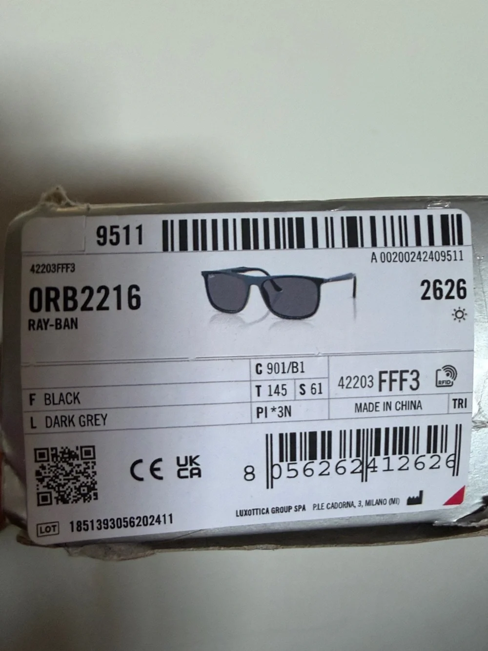 Ray-Ban Black Sunglasses with Black Lenses